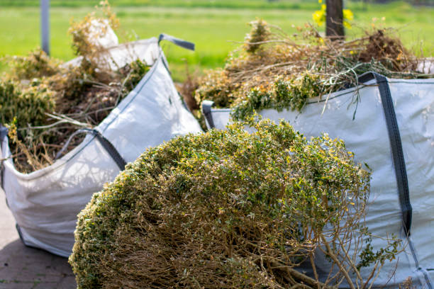 Best Household Junk Removal  in Port Gibson, MS